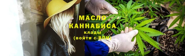 хмурый Дмитров