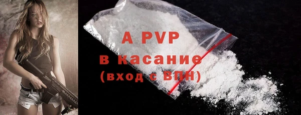 хмурый Дмитров