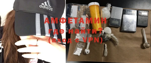 ГАЛЛЮЦИНОГЕННЫЕ ГРИБЫ Дмитриев