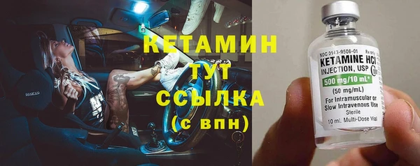 ГАЛЛЮЦИНОГЕННЫЕ ГРИБЫ Дмитриев