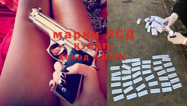 ГАЛЛЮЦИНОГЕННЫЕ ГРИБЫ Дмитриев