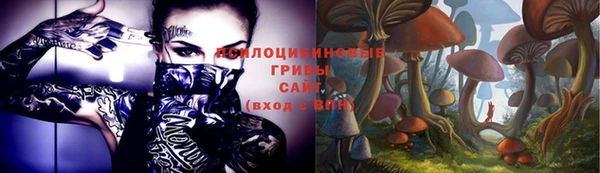 хмурый Дмитров