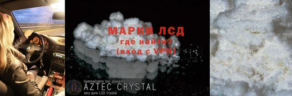 ГАЛЛЮЦИНОГЕННЫЕ ГРИБЫ Дмитриев