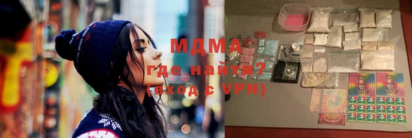ГАЛЛЮЦИНОГЕННЫЕ ГРИБЫ Дмитриев