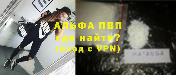 ГАЛЛЮЦИНОГЕННЫЕ ГРИБЫ Дмитриев