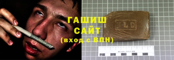 ГАЛЛЮЦИНОГЕННЫЕ ГРИБЫ Дмитриев
