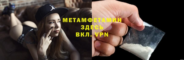 ГАЛЛЮЦИНОГЕННЫЕ ГРИБЫ Дмитриев