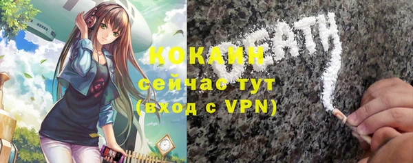 ГАЛЛЮЦИНОГЕННЫЕ ГРИБЫ Дмитриев