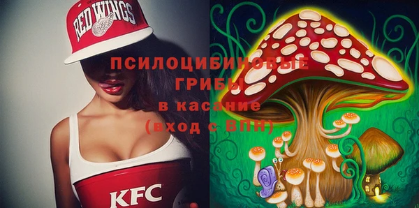 экстази Дмитровск
