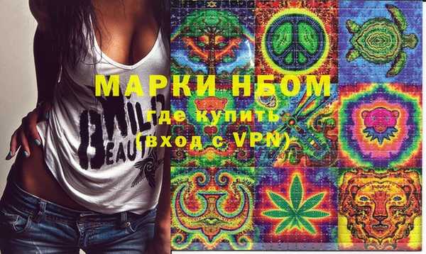 ГАЛЛЮЦИНОГЕННЫЕ ГРИБЫ Дмитриев