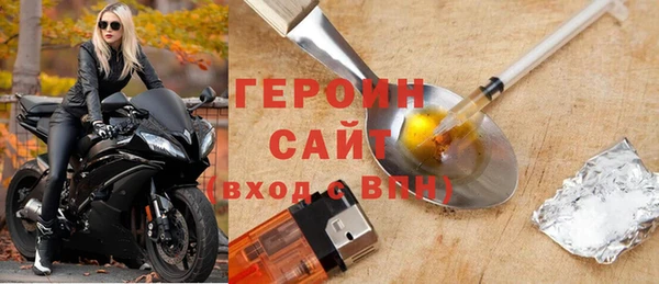 ГАЛЛЮЦИНОГЕННЫЕ ГРИБЫ Дмитриев