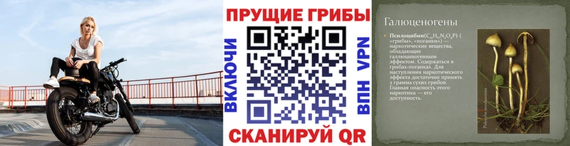 Купить  Котово  Галлюциногенные грибы прущие грибы 